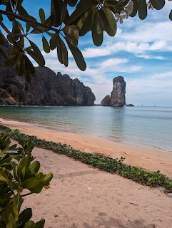 Tropical beach with limestone rock formation in turquoise water, sandy shore and green plants in foreground