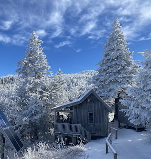 Small wooden cabin surrounded by snow-covered pine trees beneath a blue winter sky