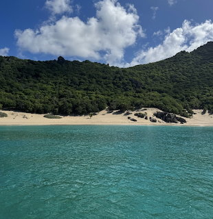 Turquoise lagoon with sandy beach and green forested hills under cloudy blue sky