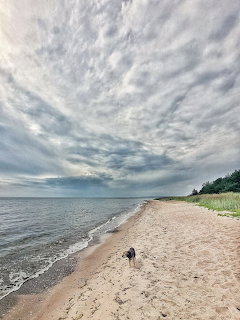 Sandy beach beside calm water under a dramatic cloudy sky with grassy dunes and distant trees