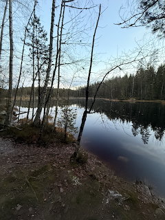Nuuksio National Park Lake