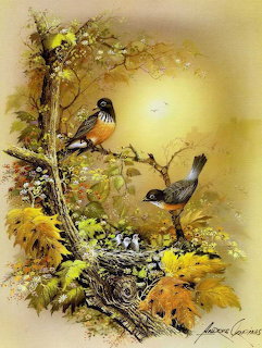 Nesting Robins