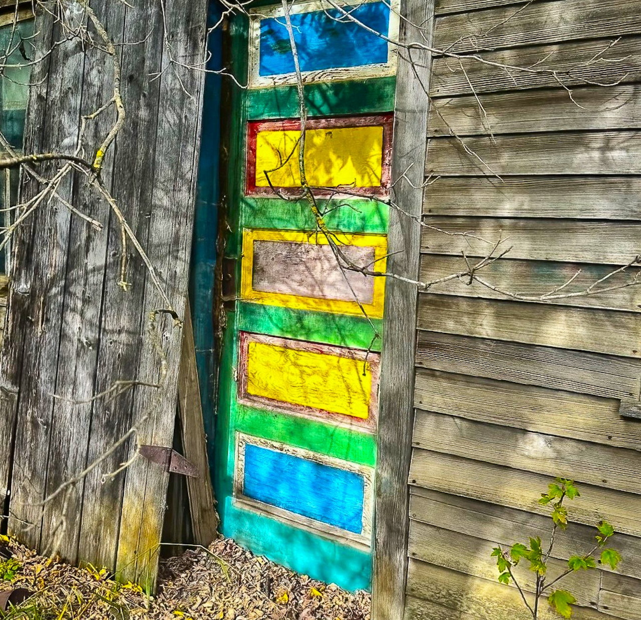 Brightly painted door with yellow and blue panels on abandoned wooden structure surrounded by overgrown plants