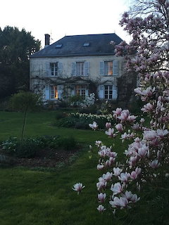 Cottage and Magnolia