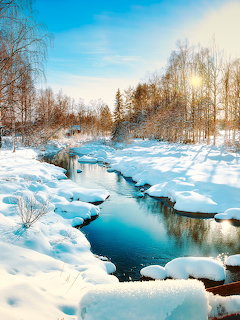 Snow-covered river flowing through a winter forest with sunlit trees and a bright blue sky