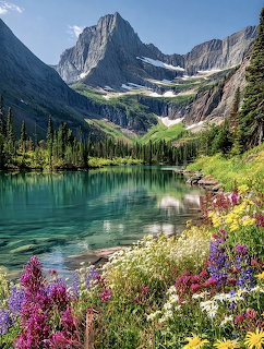 Mountain Lake Wildflowers