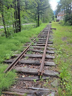 Old rusty train tracks in a grassy forest clearing leading toward a small building
