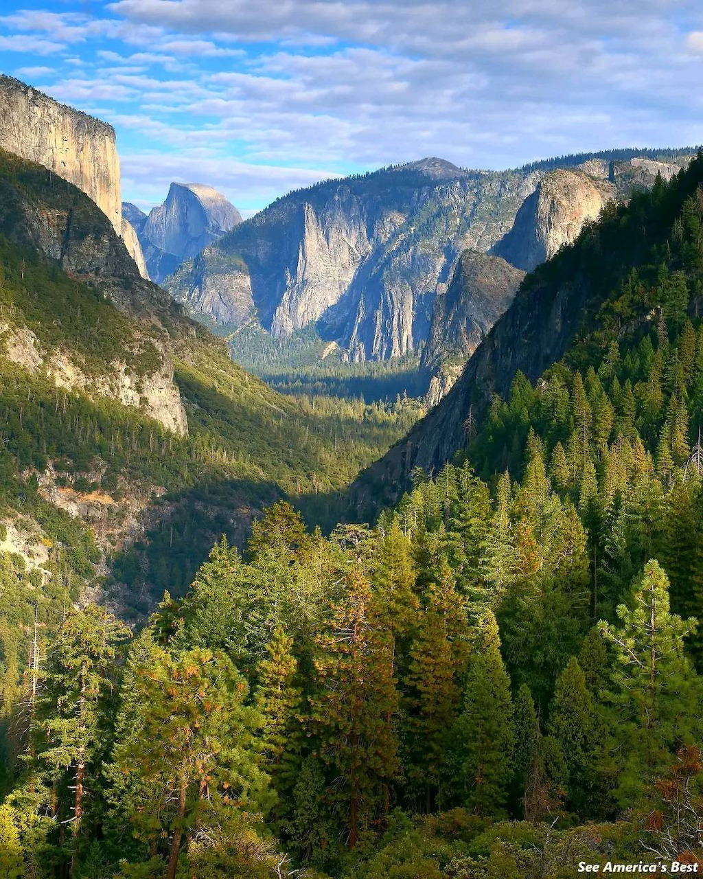 Yosemite Valley with granite cliffs, pine trees, and a river