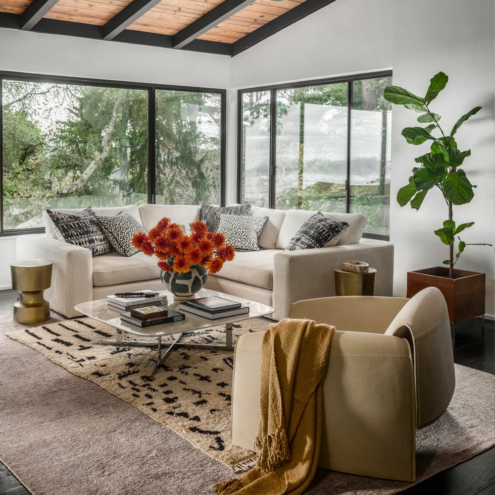 Modern Living Room Interior