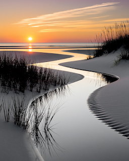 Winding tidal creek through sand dunes with grass at sunset over the ocean