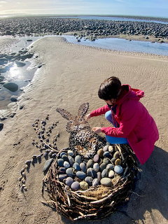 Person in pink jacket arranging dark pebbles in spiral pattern on beach sand with basket of stones