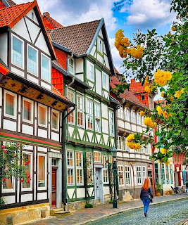 Row of colorful half-timbered houses on a cobblestone street with autumn trees in Hildesheim, Germany