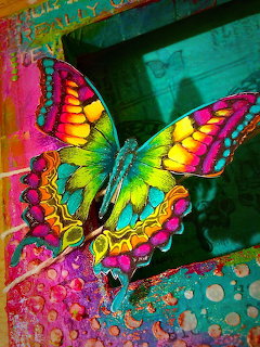 Vibrant Rainbow Butterfly
