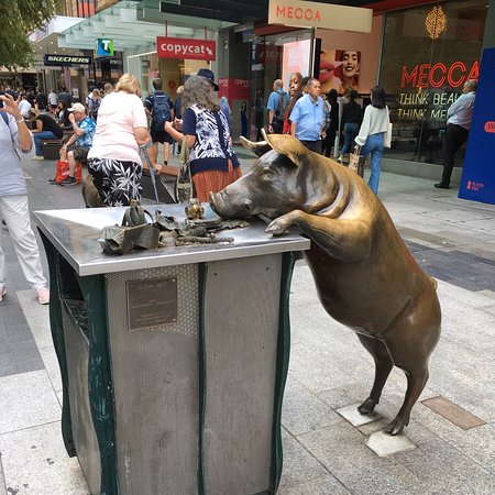 Bronze pig sculptures on Rundle Mall pedestrian street in Adelaide