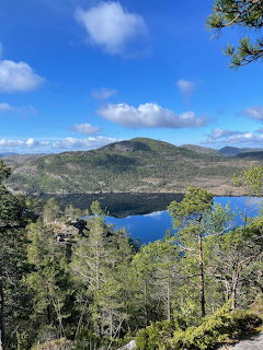 Mountain lake view in Norway with trees, hills, and blue sky