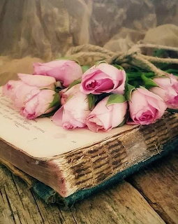 Pink roses lying on an antique book with aged pages on wooden table