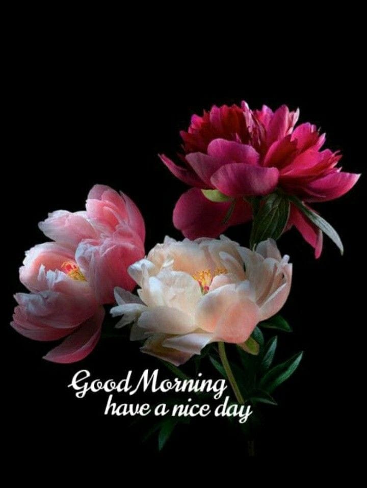 Good morning greeting with a steaming coffee cup