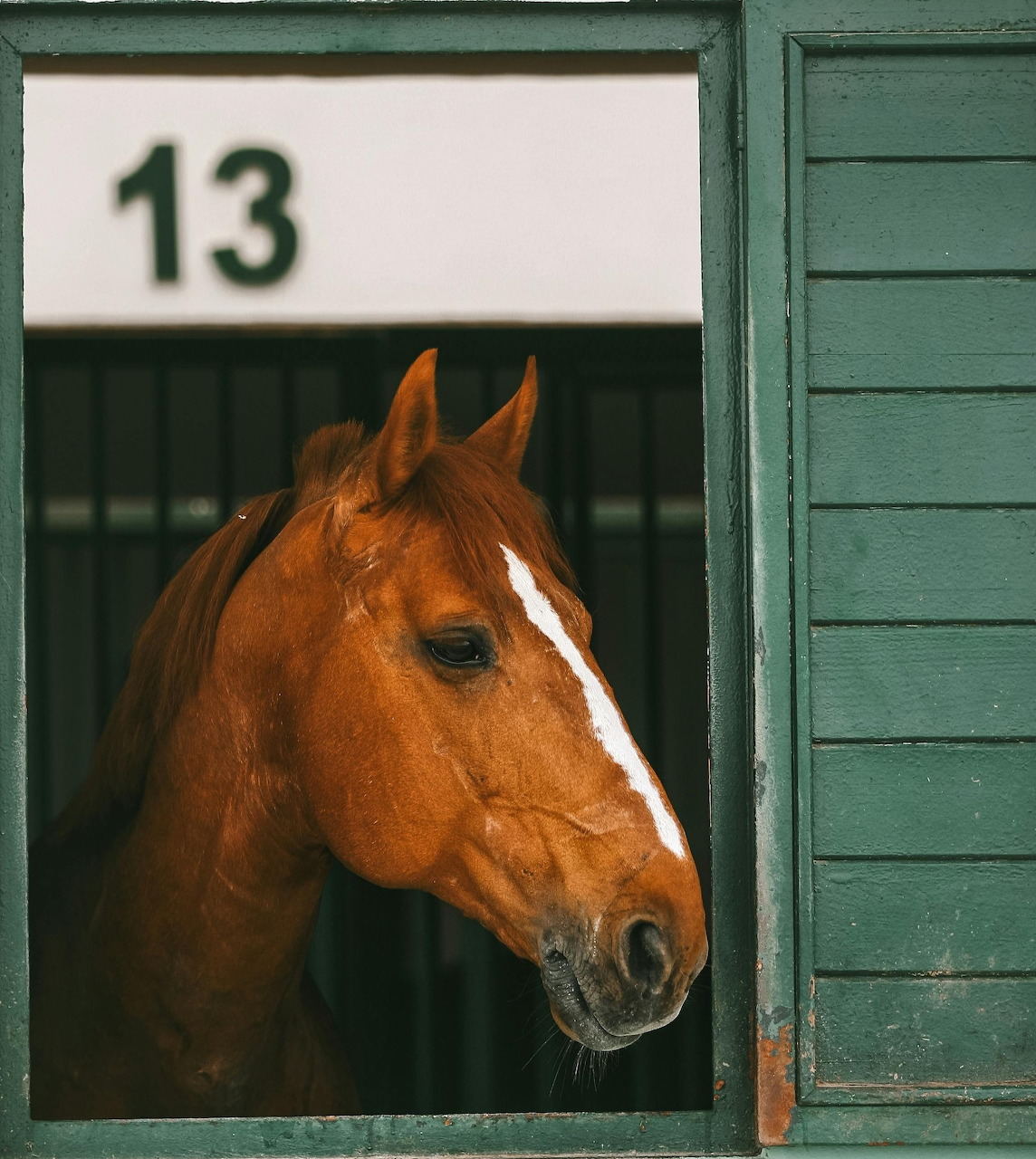 Chestnut horse with white blaze looking out from green stable door