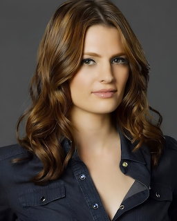 Studio portrait of Stana Katic with wavy brown hair and a dark shirt against a gray background