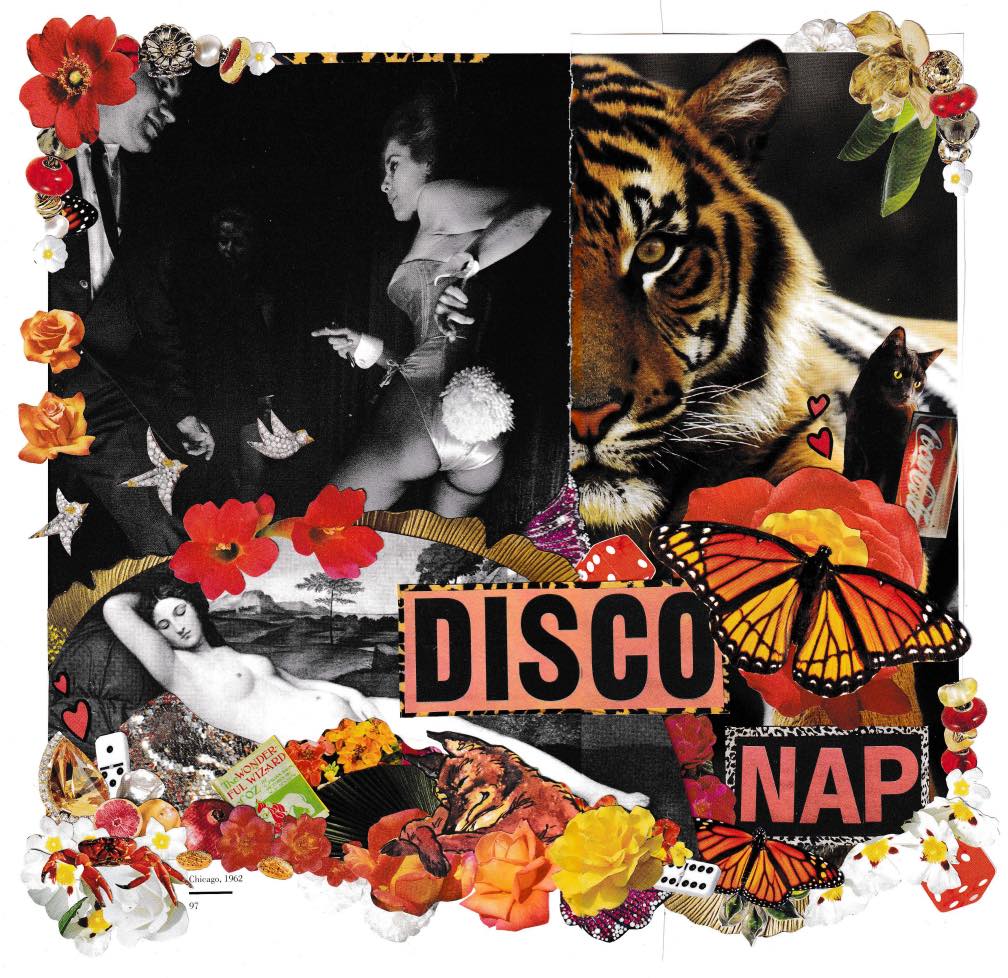 Eclectic collage with tiger, retro photos, flowers, butterfly, and Disco Nap text
