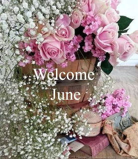 Pink rose bouquet with baby's breath in a rustic basket and Welcome June text overlay