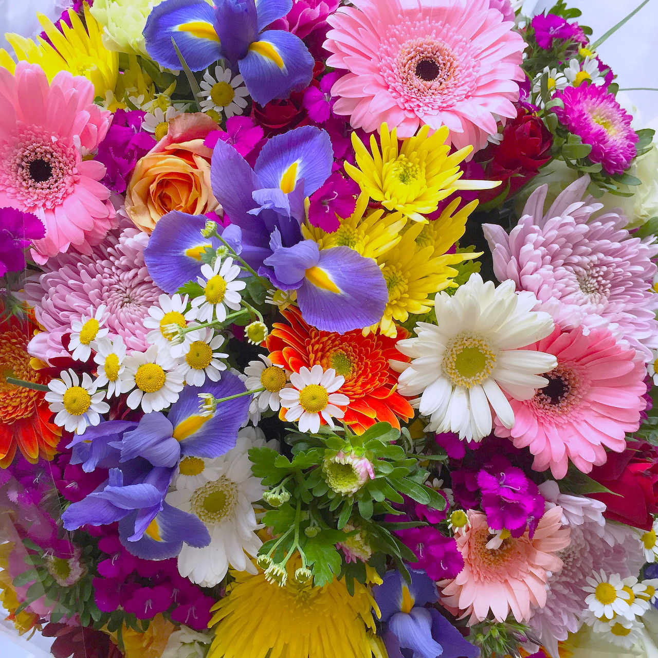 Colorful bouquet with pink gerberas, purple iris, yellow sunflowers, white daisies, and assorted blooms