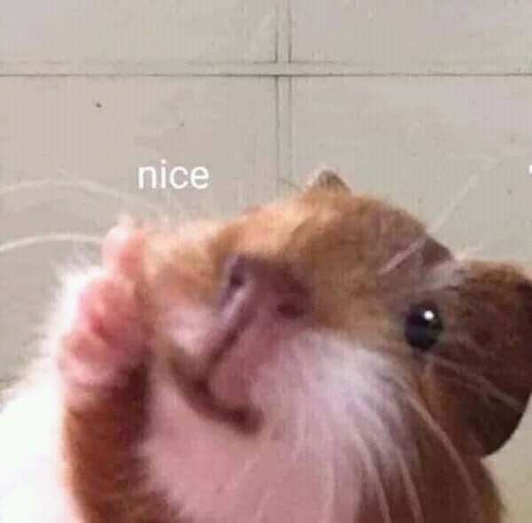 Orange cat with raised paw and 'nice' text overlay in meme format