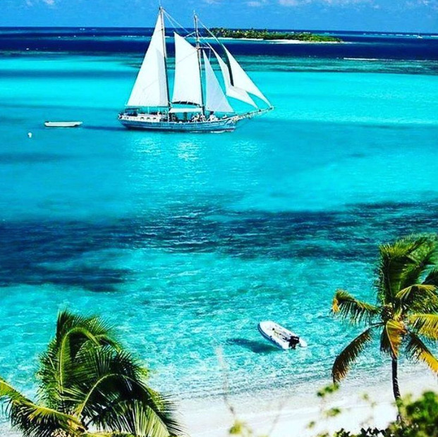 White sailboat on turquoise tropical water near a beach with palm trees
