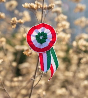 Hungarian National Cockade