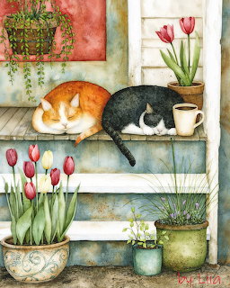 Cats Sleeping on Porch Steps