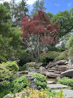 Japanese Style Garden