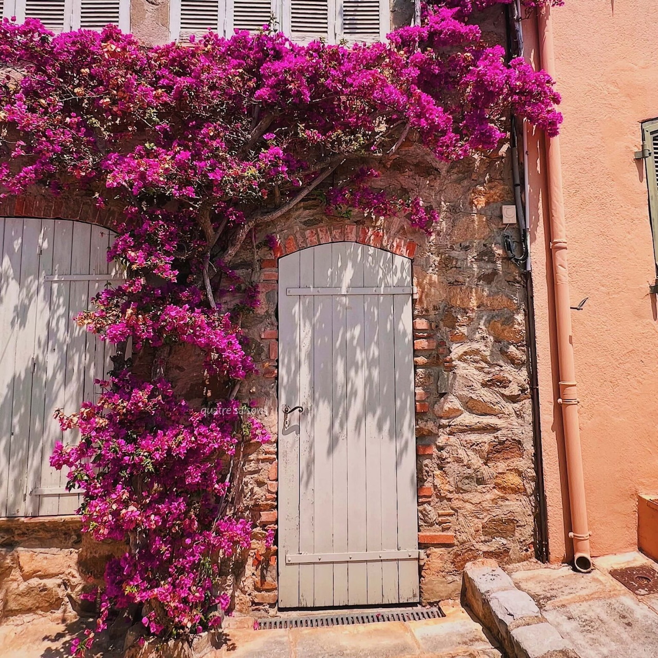 Bougainvillea in Grimaud