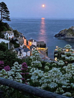 Seaside village at dusk with flowers in the foreground and moonlight reflecting on calm water