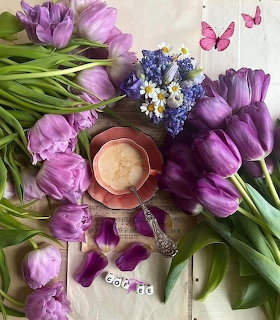 Purple tulips surrounding a coffee cup with blue hyacinths and pink butterflies on white background