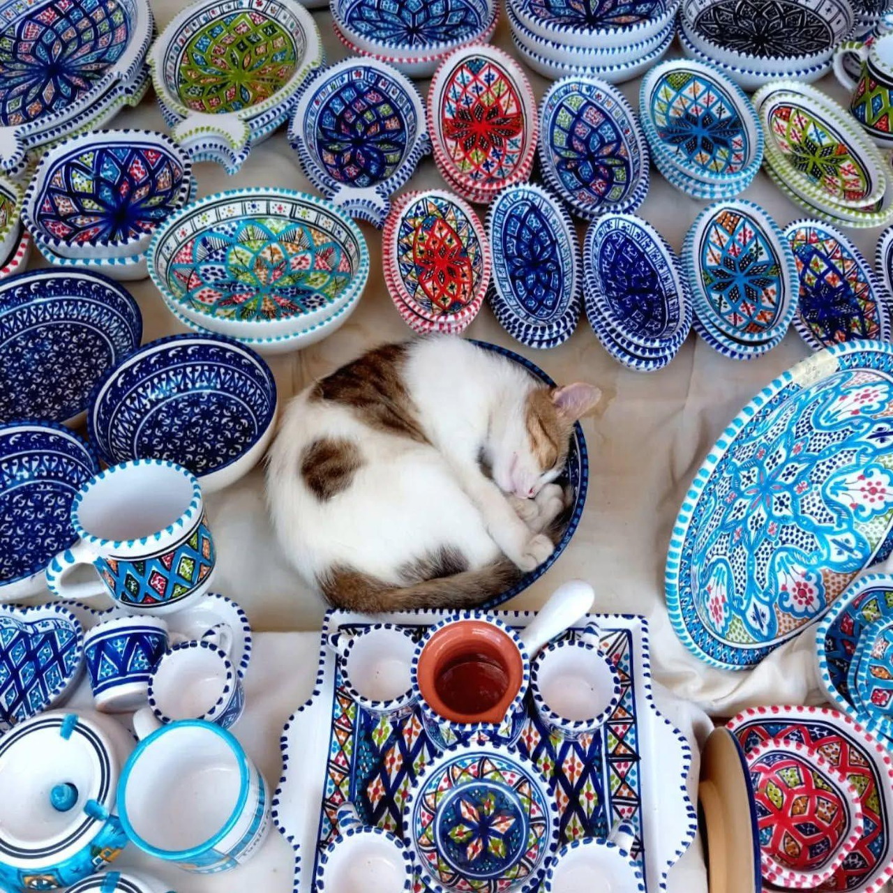 White and brown cat sleeping among decorative painted ceramic dishes