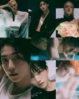 K-Pop Idol Photo Collage