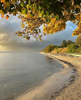 Autumn Beach Shoreline