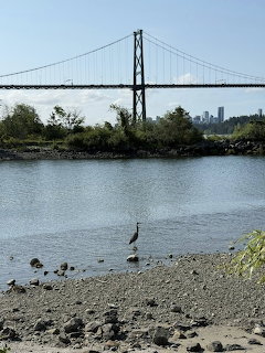 Suspension Bridge Heron