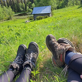 Hiking Boots Mountain Meadow