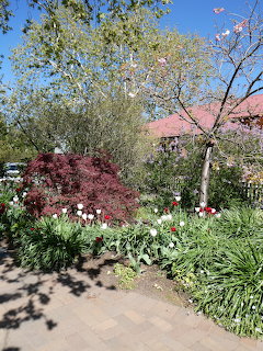 Spring Garden Path