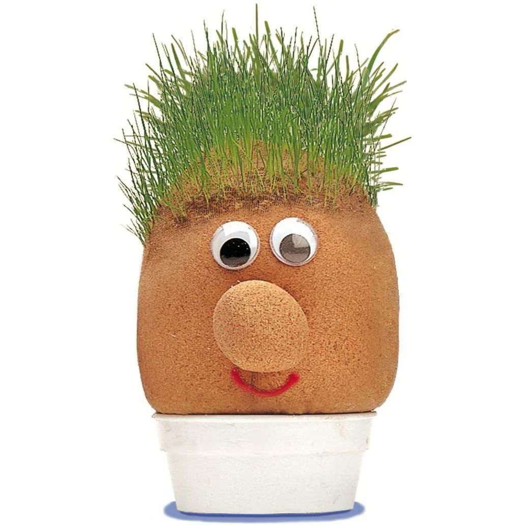 Grass head toy with googly eyes and green hair in a white pot on a white background
