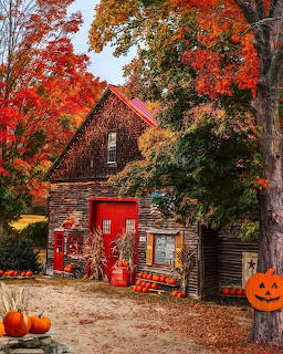 Autumn Country Store