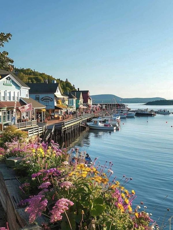 Colorful waterfront shops along a wooden pier with boats on calm harbor water and wildflowers in the foreground