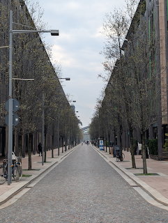 Empty cobblestone city street lined with leafless trees and tall buildings