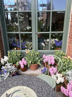 Filoli Patio Seating