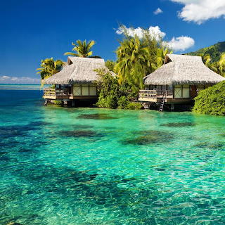 Tropical Overwater Bungalows