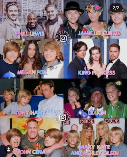 Grid collage of celebrity lookalike photo comparisons with name labels on colorful backgrounds