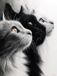 Two Cats Portrait Drawing
