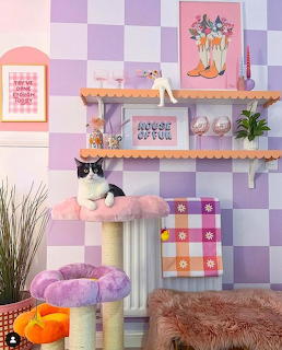 Black and white cat on scratching post in colorful purple-tiled room with shelves and plants