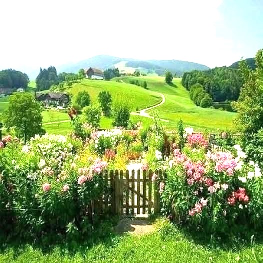 English Garden Gate